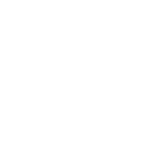 Car Transportation